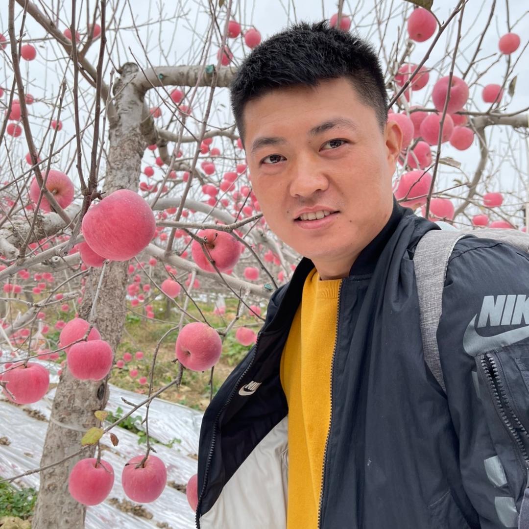 甘肃沙漠人参果