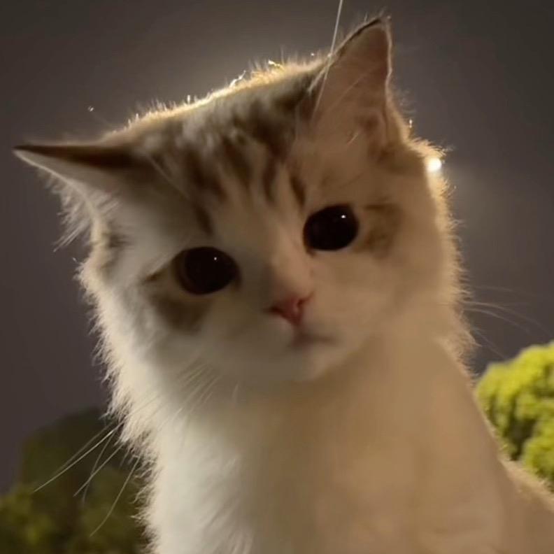 钻石娃娃的娃娃吖💕