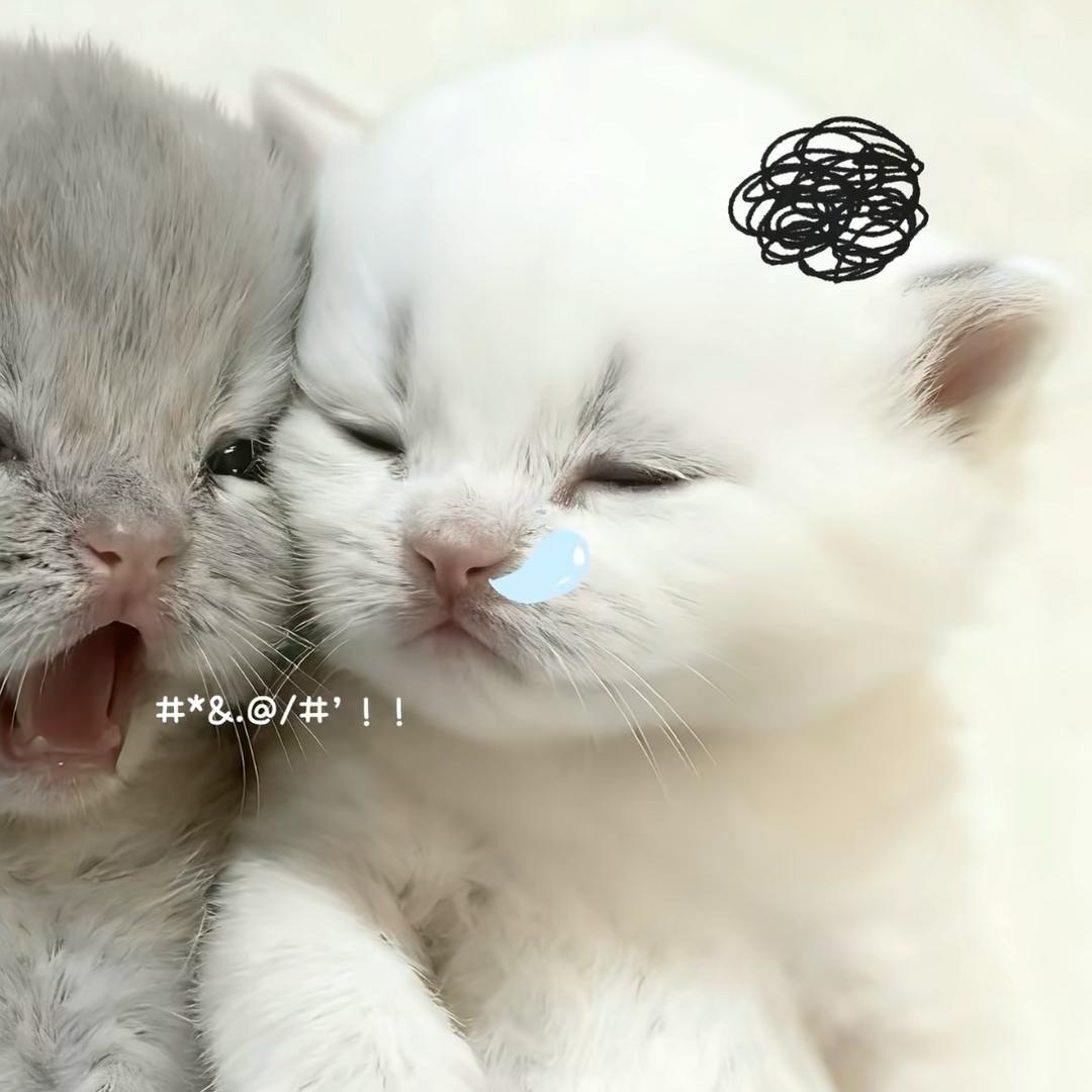 织围巾大王
