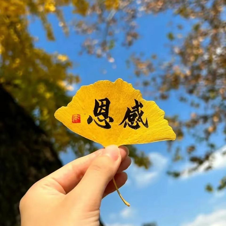 书香少年百校行活动组