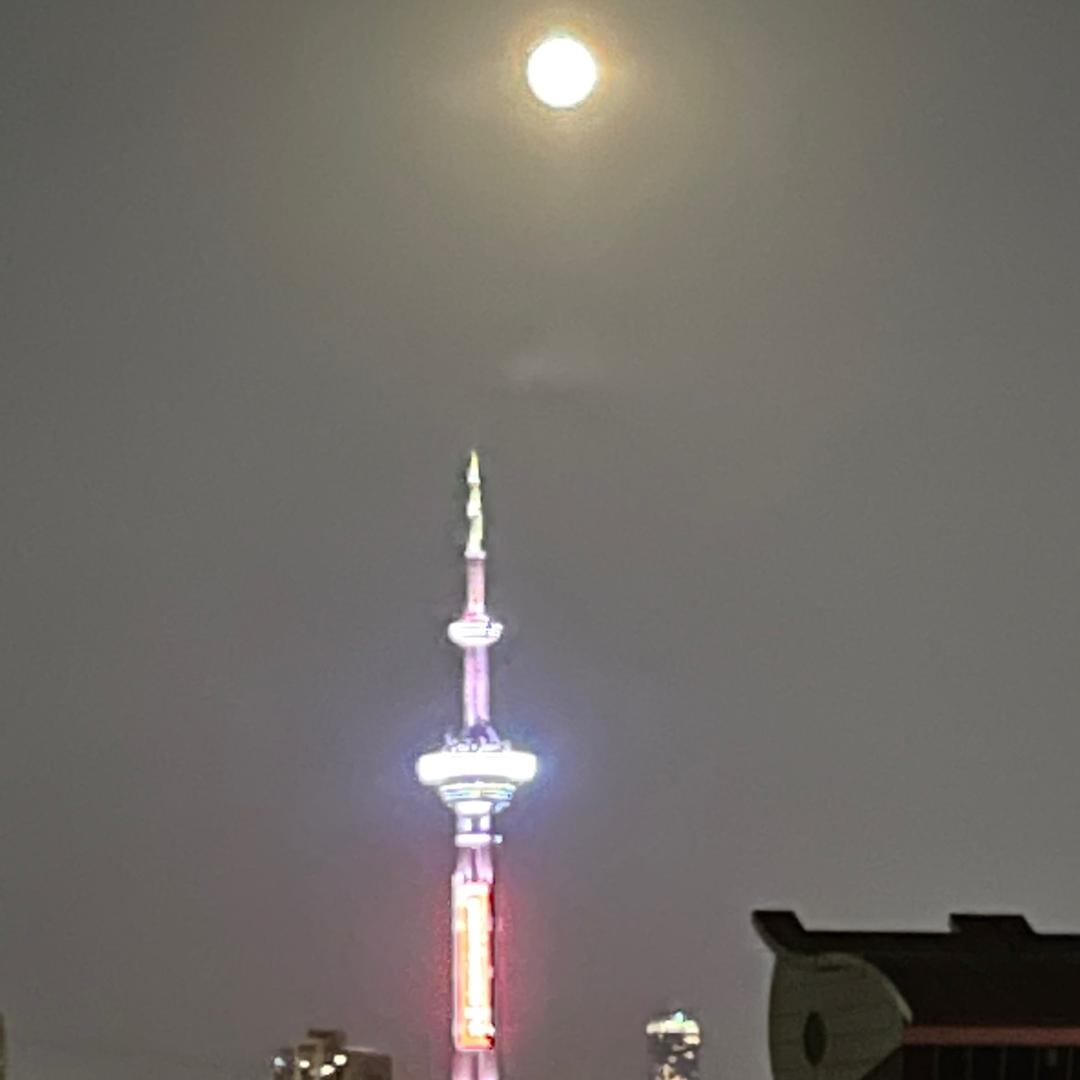 缘