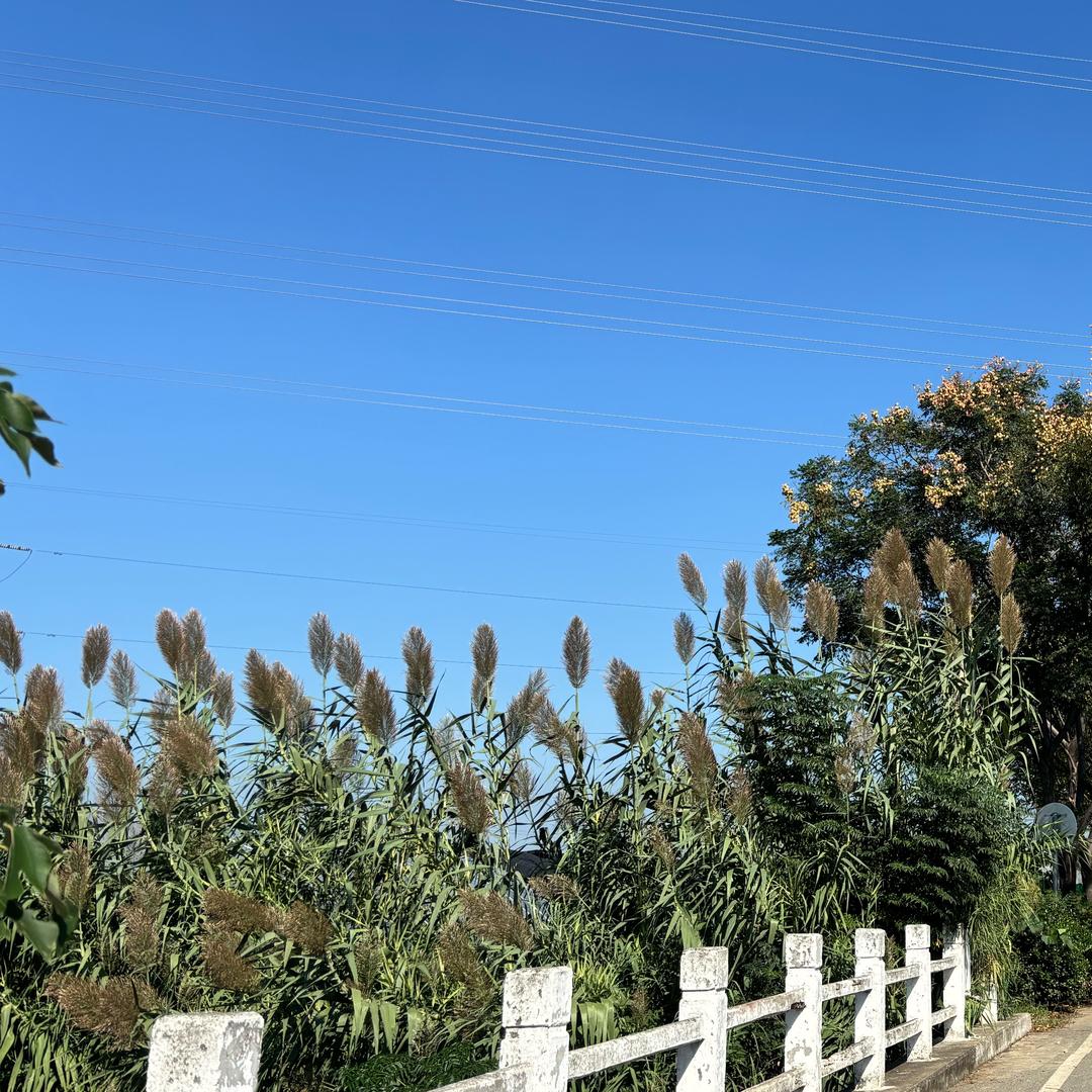 小易小易万事如意