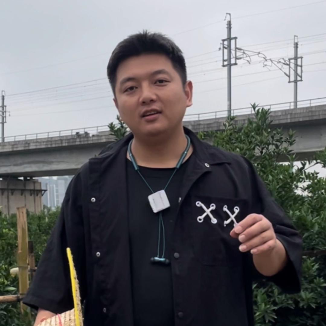 新会陈皮华笙(原生态种植)