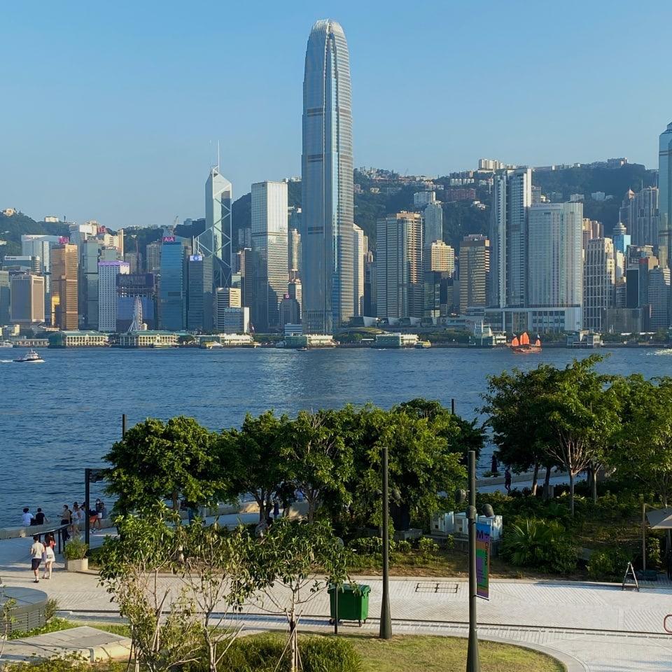 我不是余小贱贱