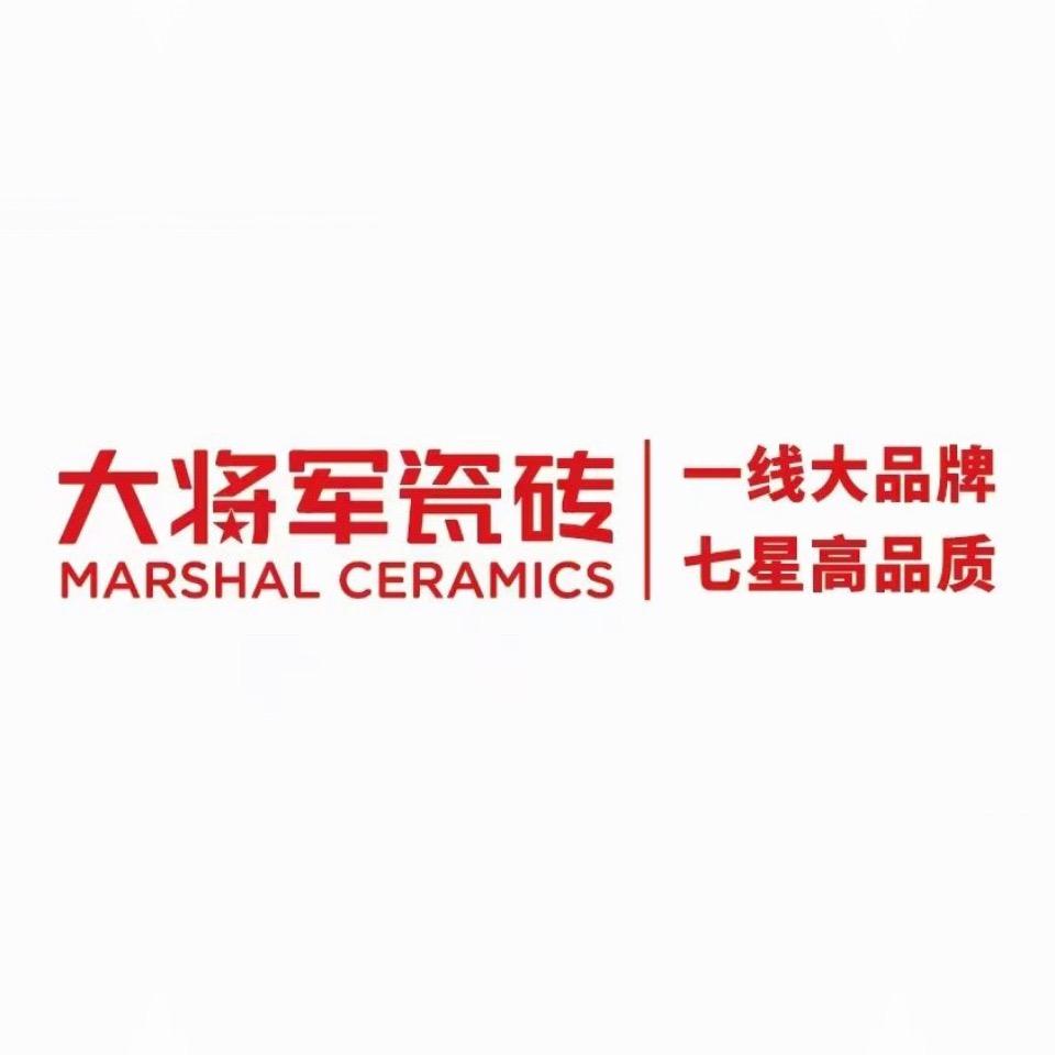 泊头大将军瓷砖