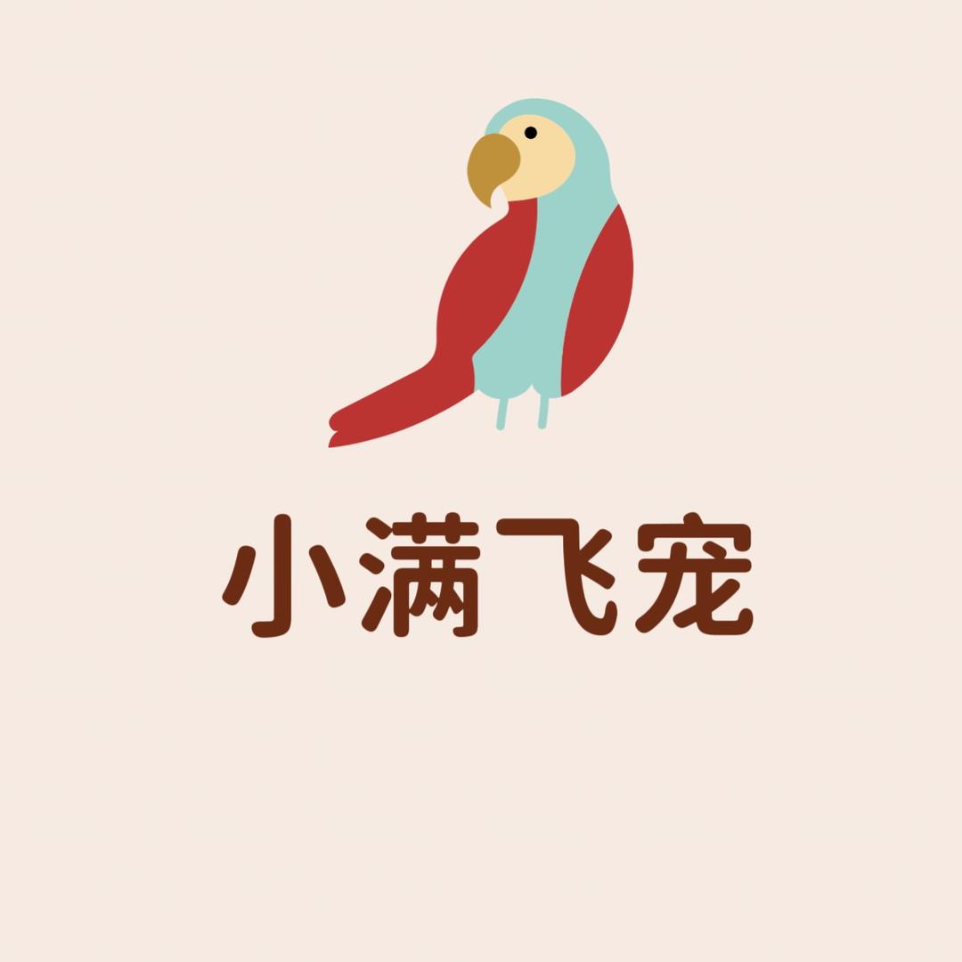 小满飞宠