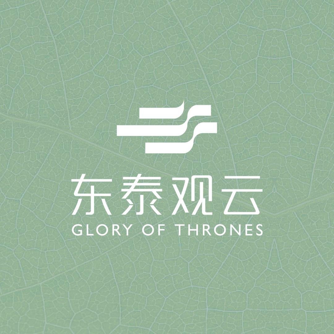 东泰观云