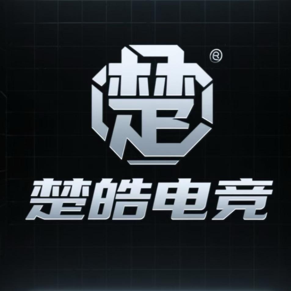 楚皓电竞(三角洲行动)