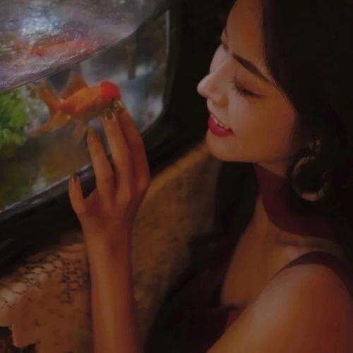 南国有杜