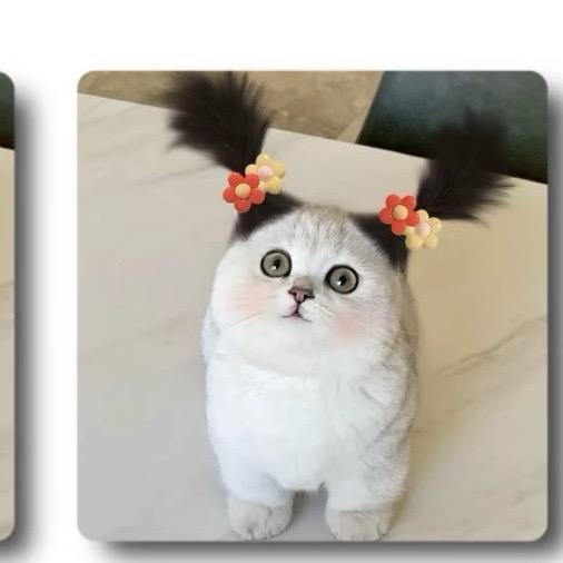 陈优妹