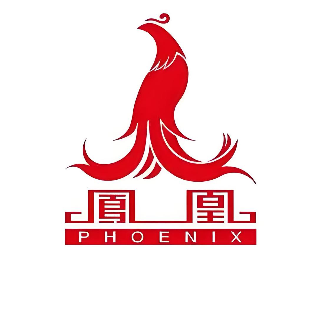 上海凤凰Phoenix学生山地车