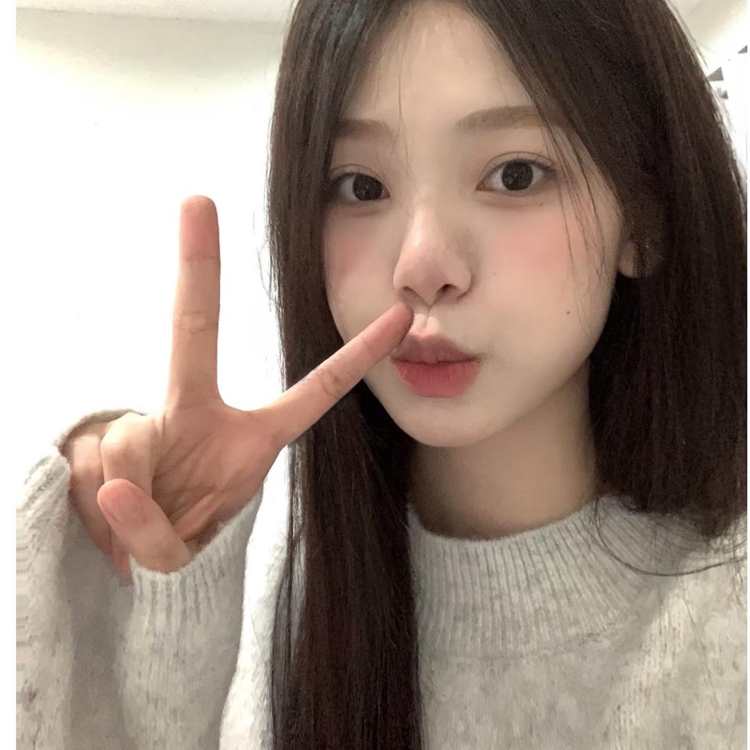 招树树🎄