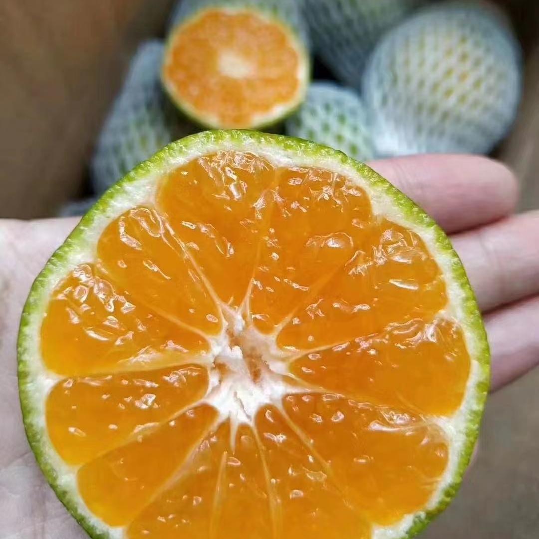 云南四季果水果园