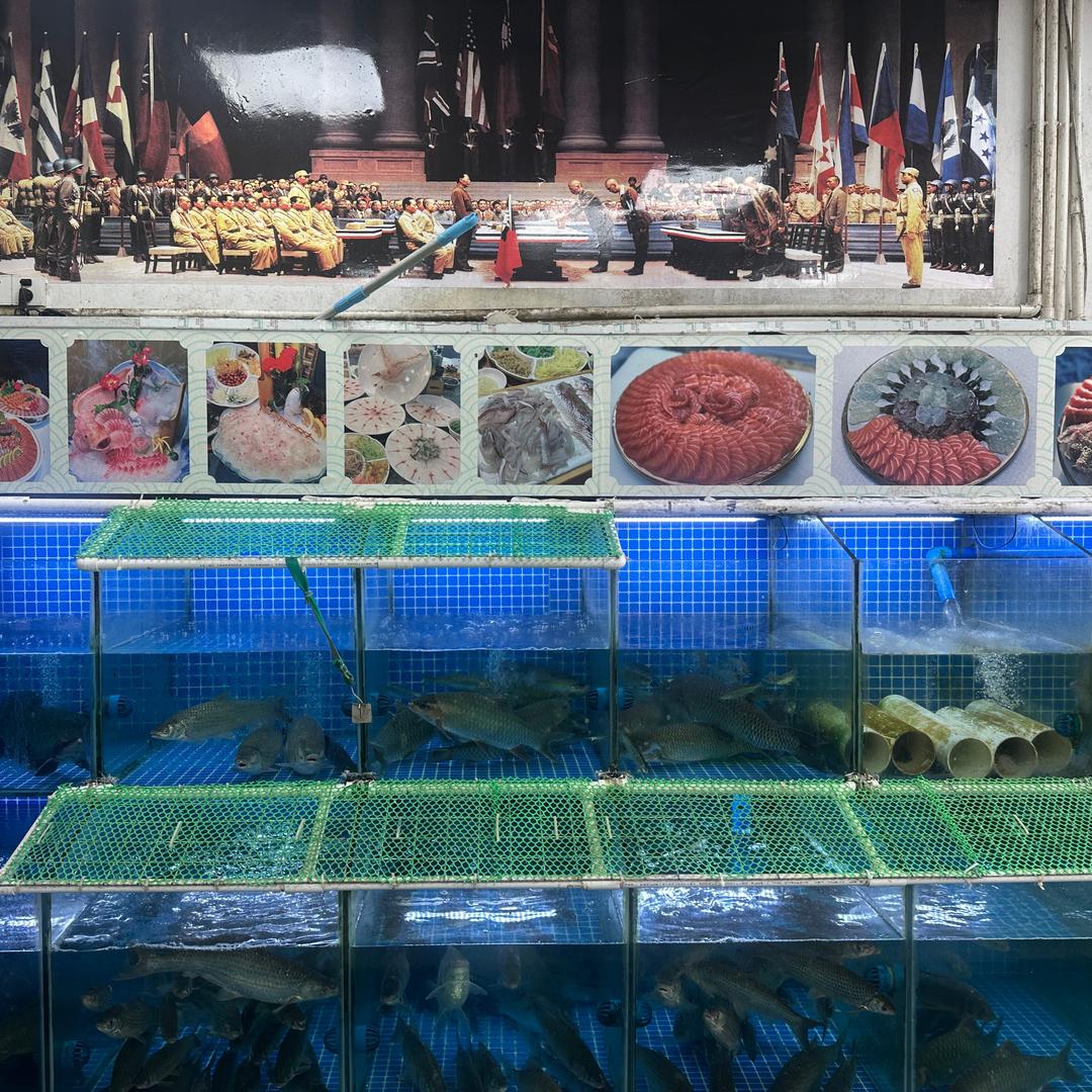 🍎一品林记鱼生🐟