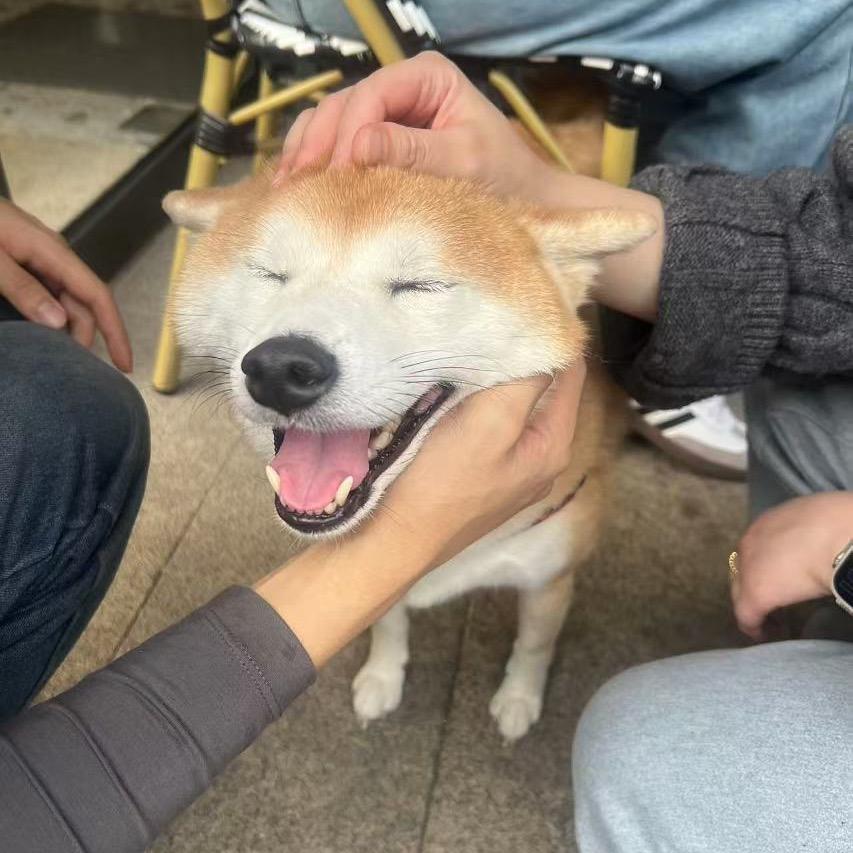 伯伦