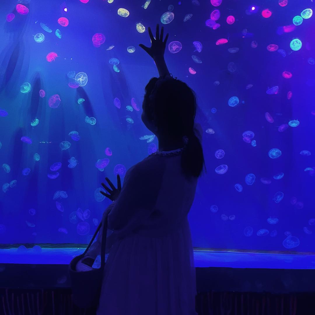 迟到公主👸🏻