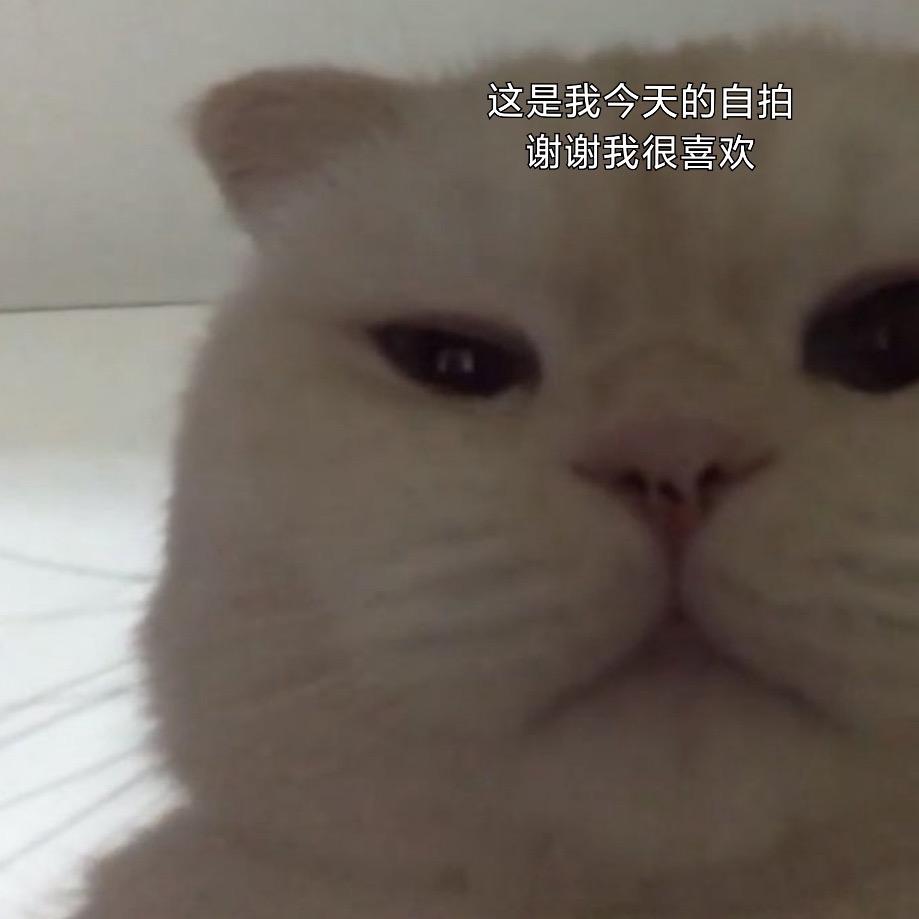 馒头妈妈🐱