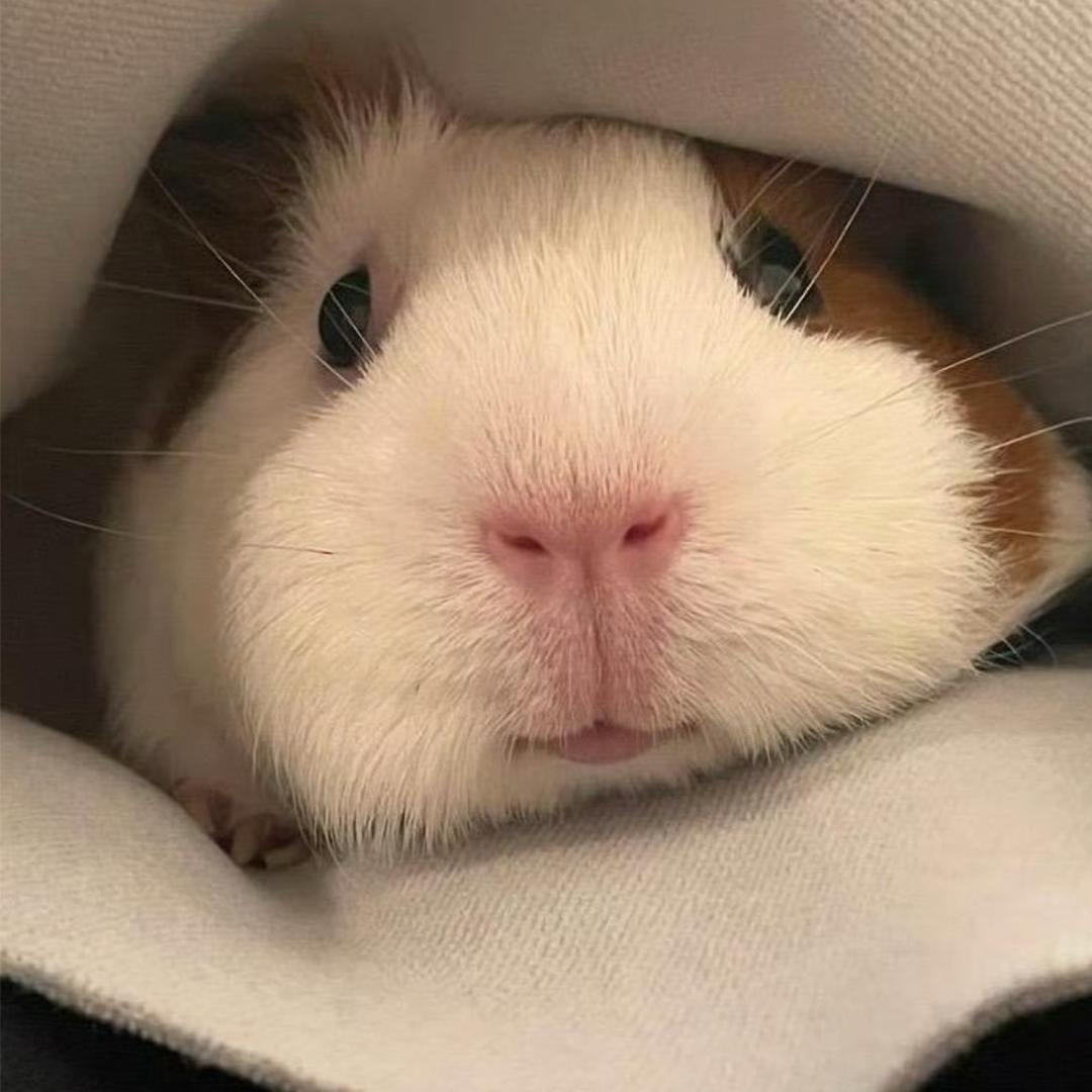 ぴྀི ̥> . ʚ̴̶̷̷ ིྀ♡