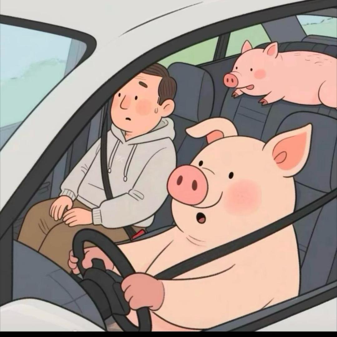 重生之我在奇康当教练