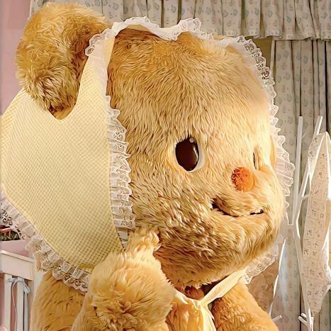 lang  🐻