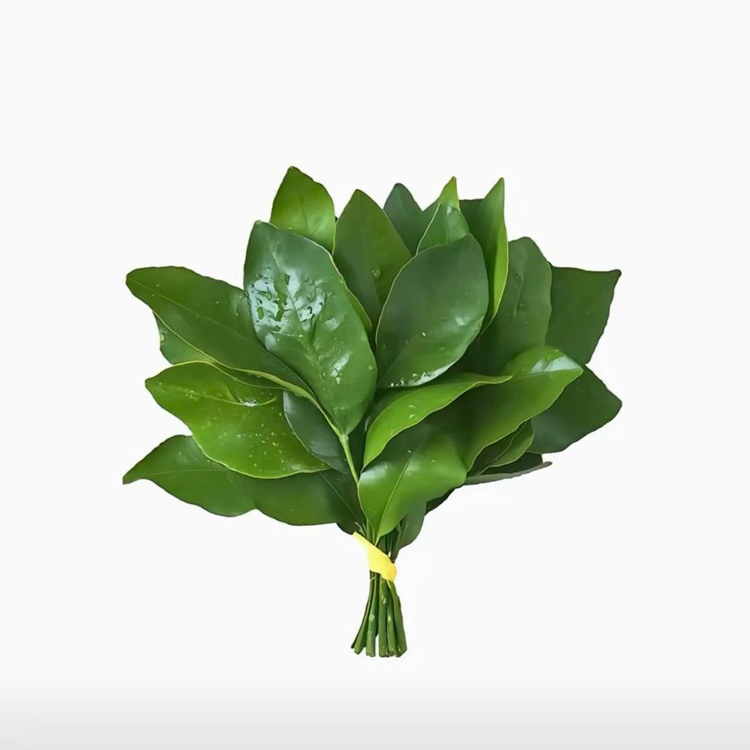 运气爆棚的土豆🥔