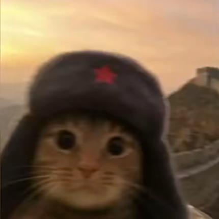 Ming.