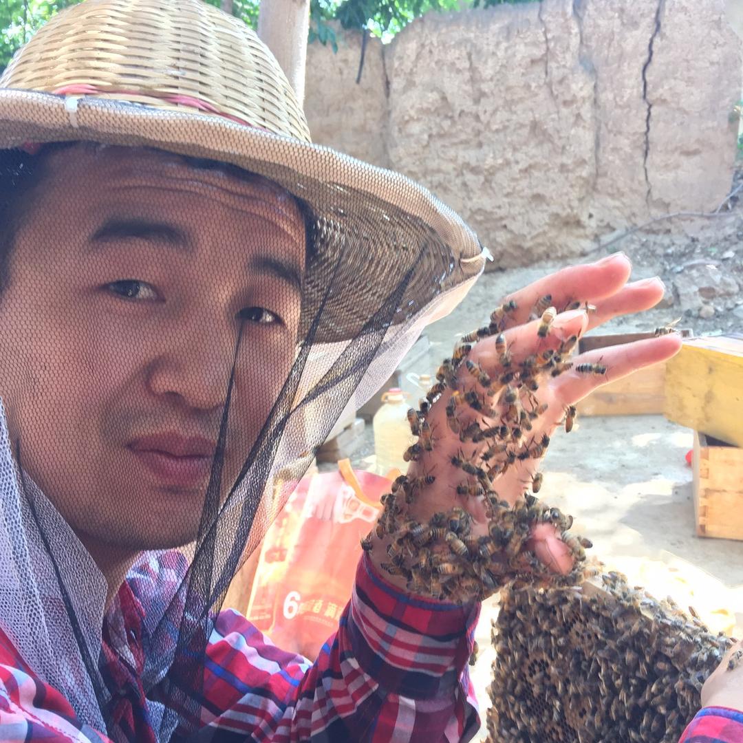 大荔县两宜镇同柔养殖场