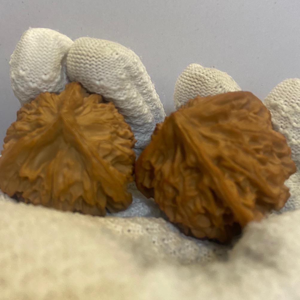 三伙计文玩核桃