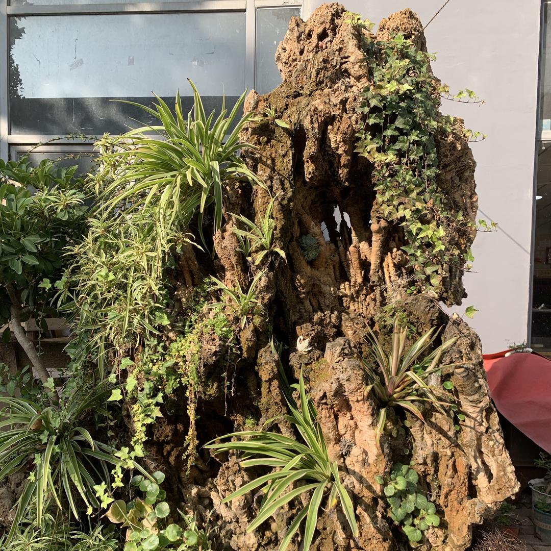 临朐云明奇石盆景店