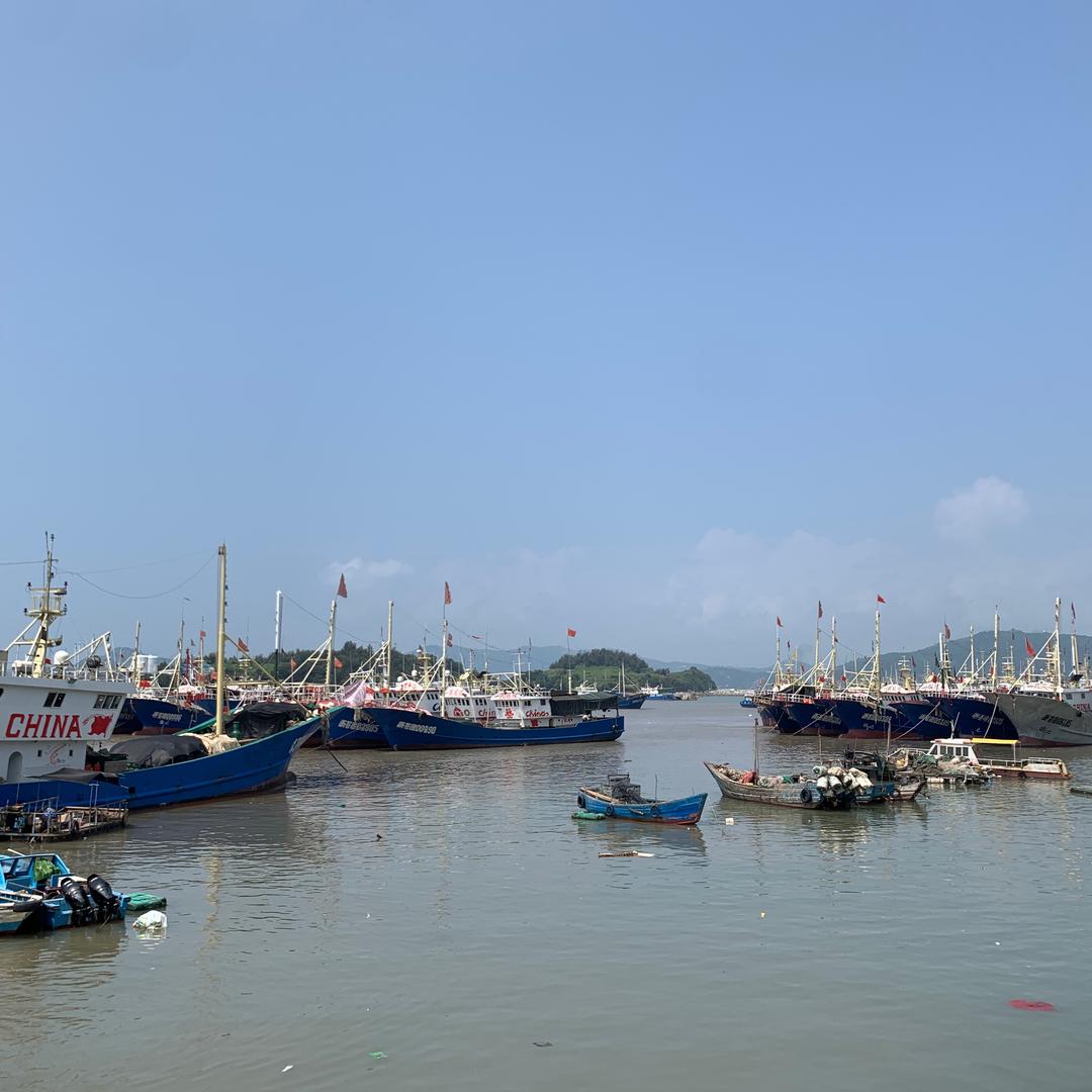 潇洒哥🐠赶海