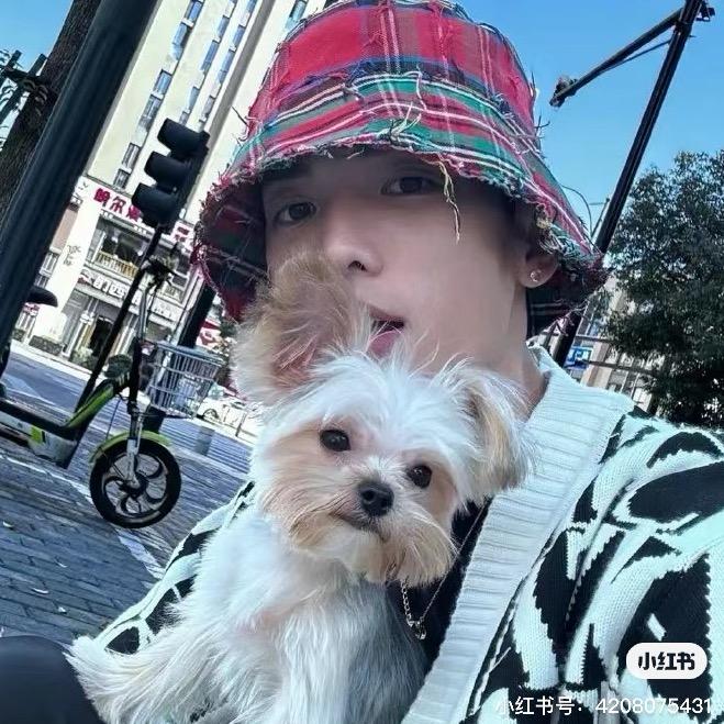 霖磐实派 2号发型设计