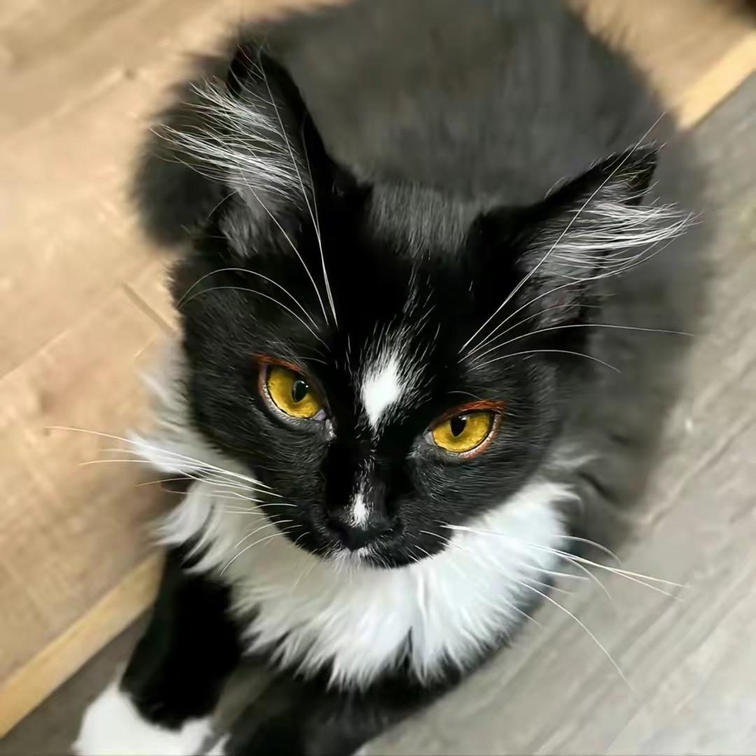 𝑿.长天一色      　༽