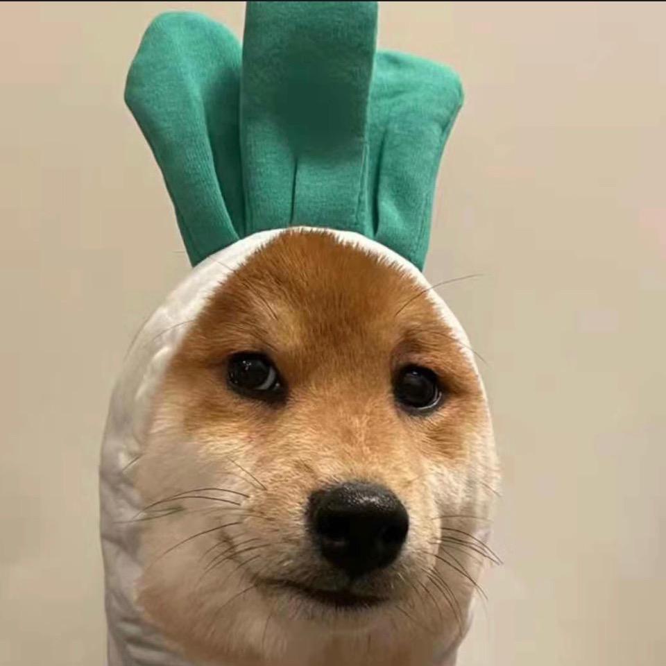 王大拿
