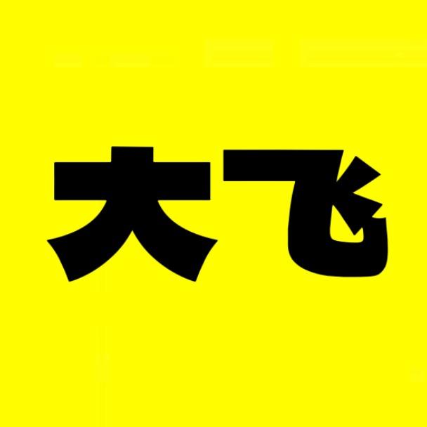 大飞的剧
