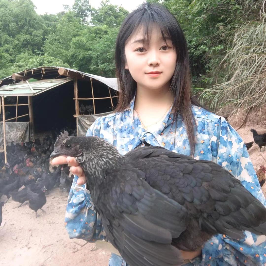 小雪的生态家庭农场