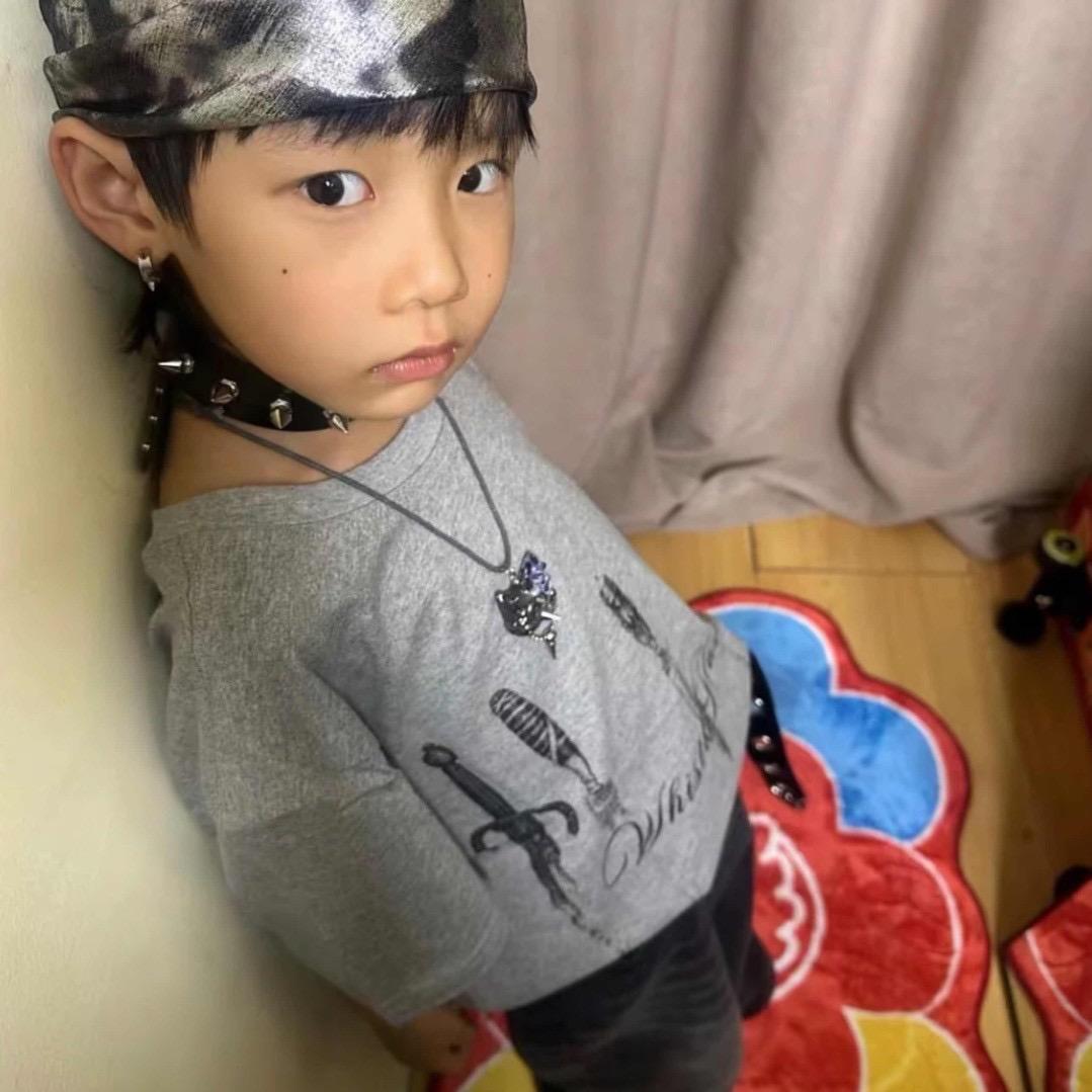 灰火鸟