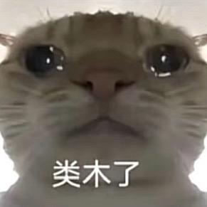 Jiaaaa（三角洲跑刀）