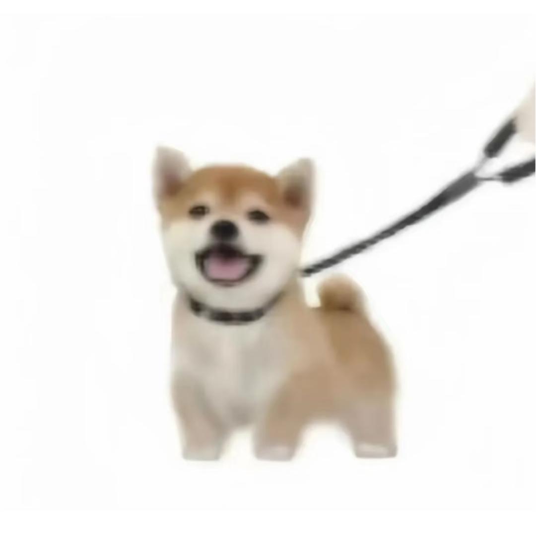 快楽小狗大白菜