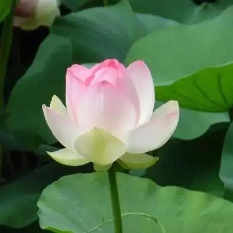 文殊智慧金榜题名
