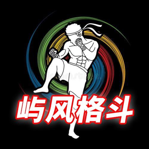 屿风格斗