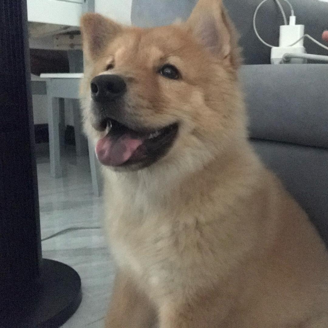 qin大帅和她的8️⃣房姨太太