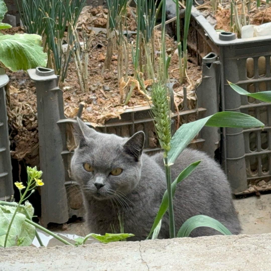 泥土的月光照亮了我（农村生存中）
