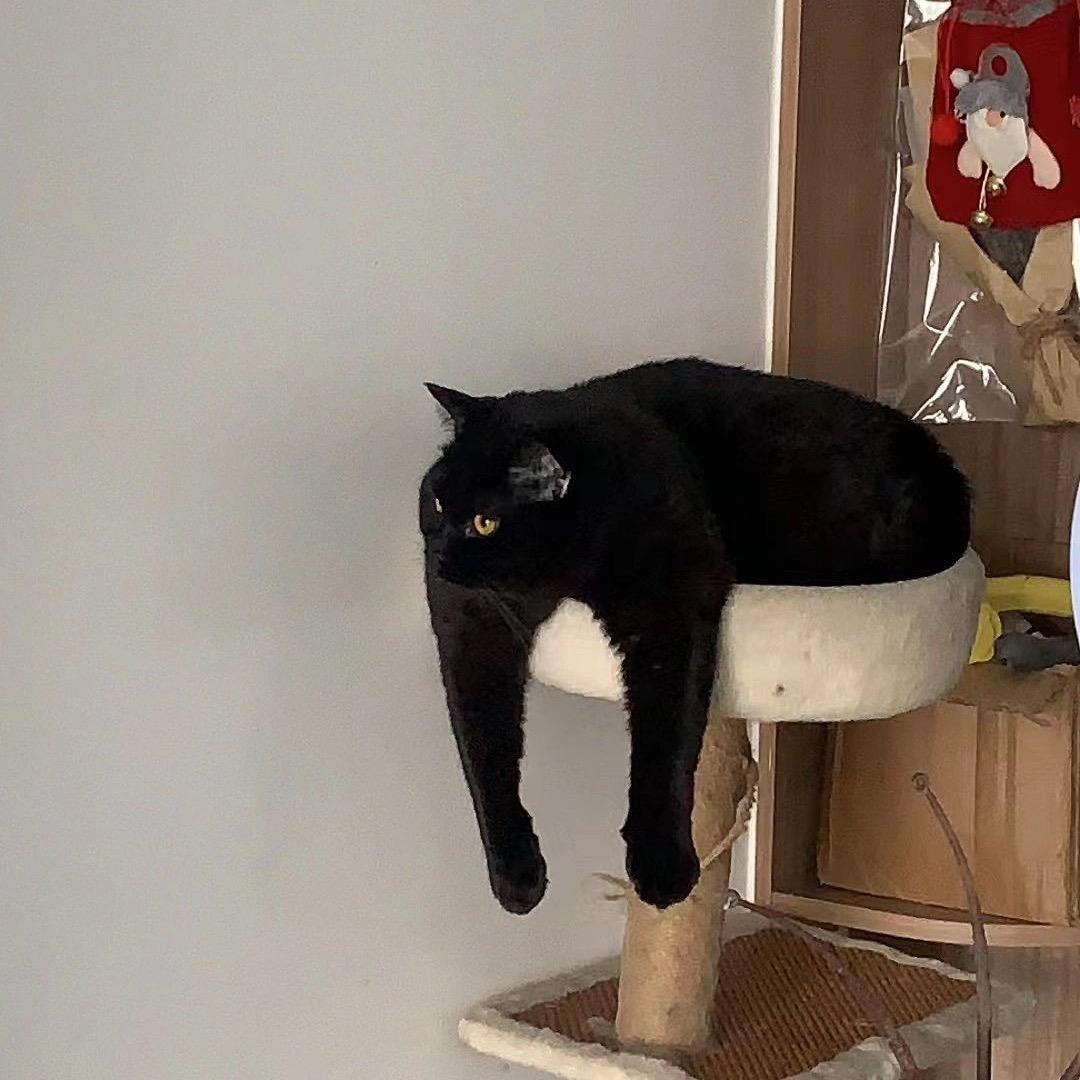 小R