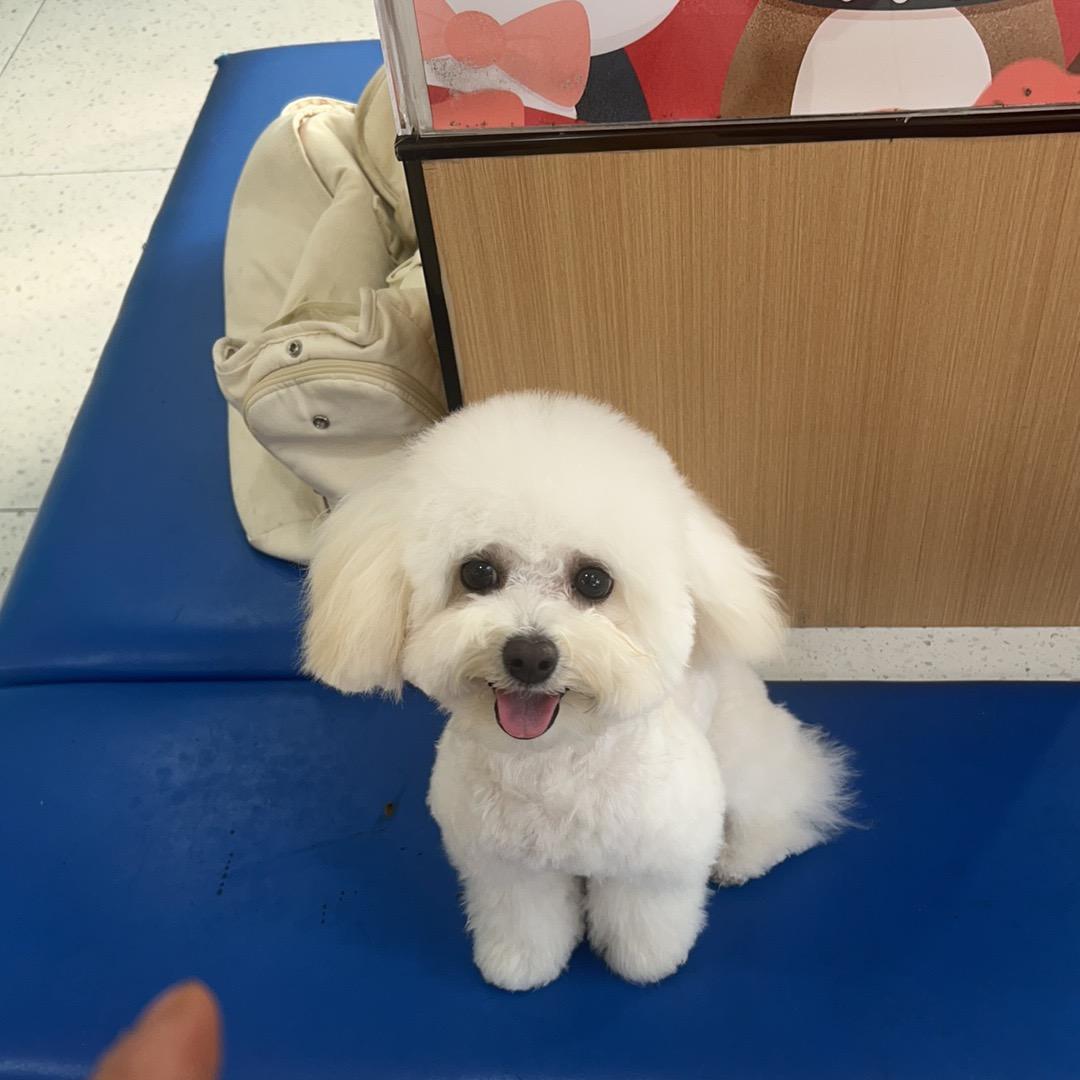 小小磊