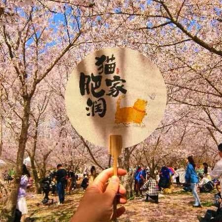 KK烤卤猪