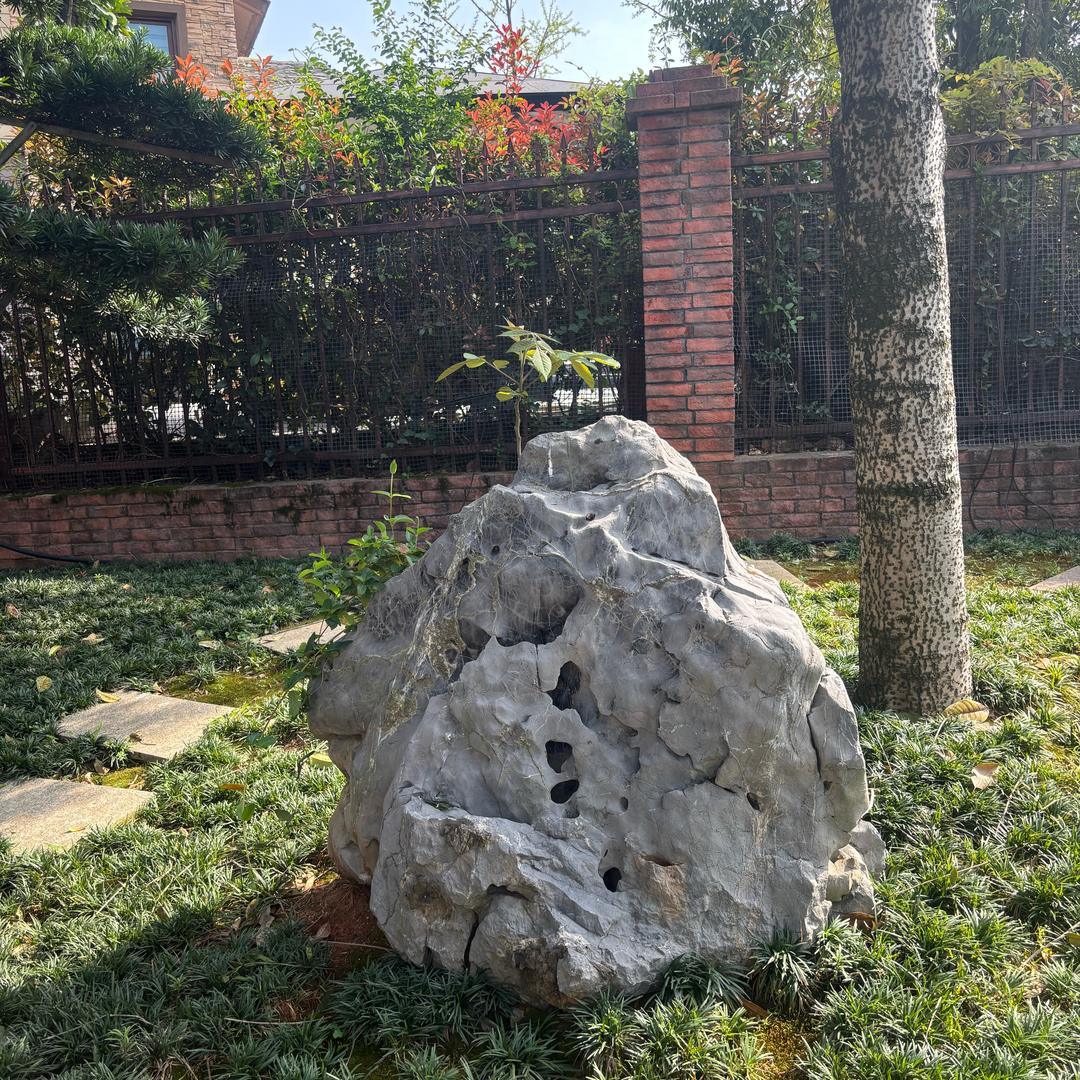 天鹅到家（让生活更美好）