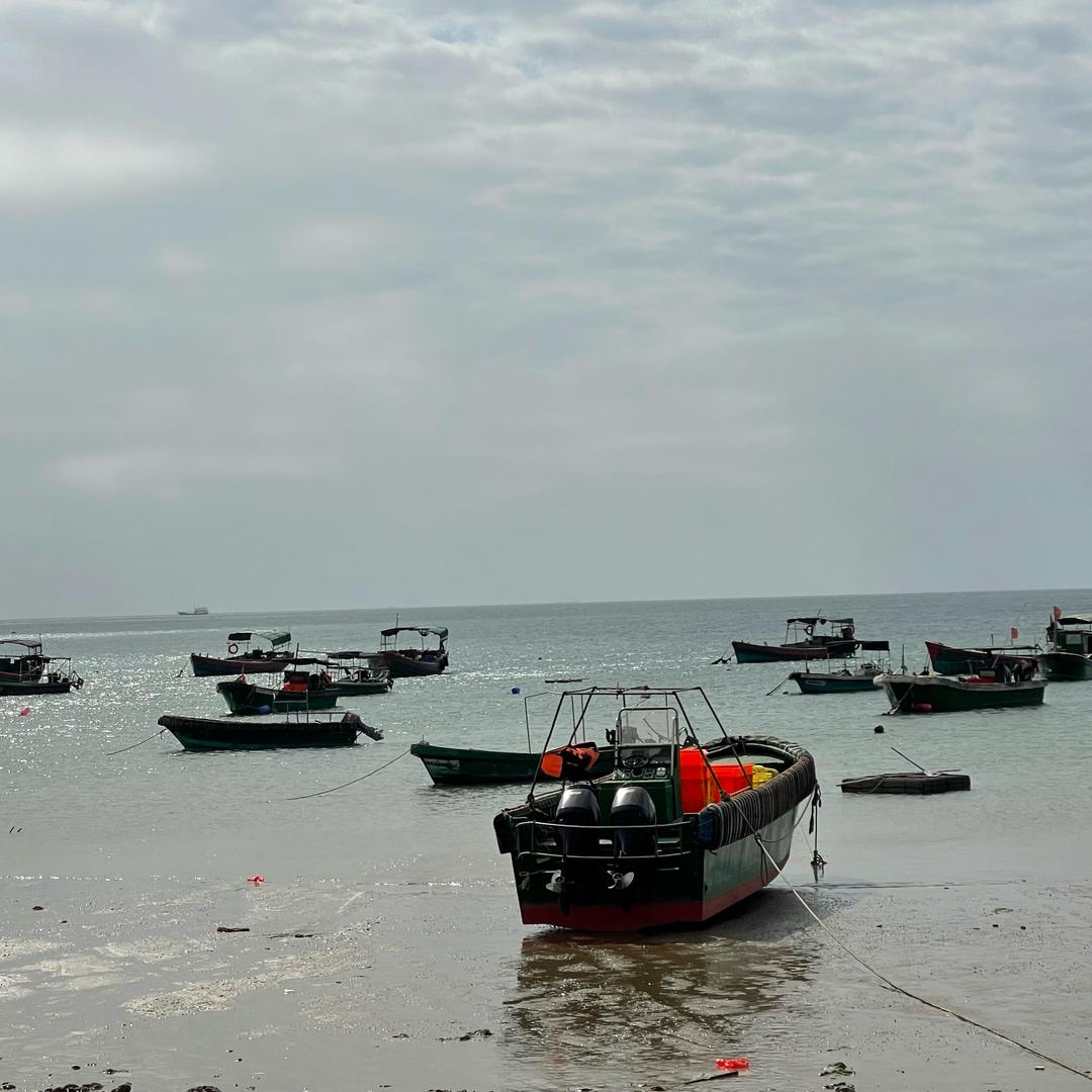 喜欢做潮菜小伙、