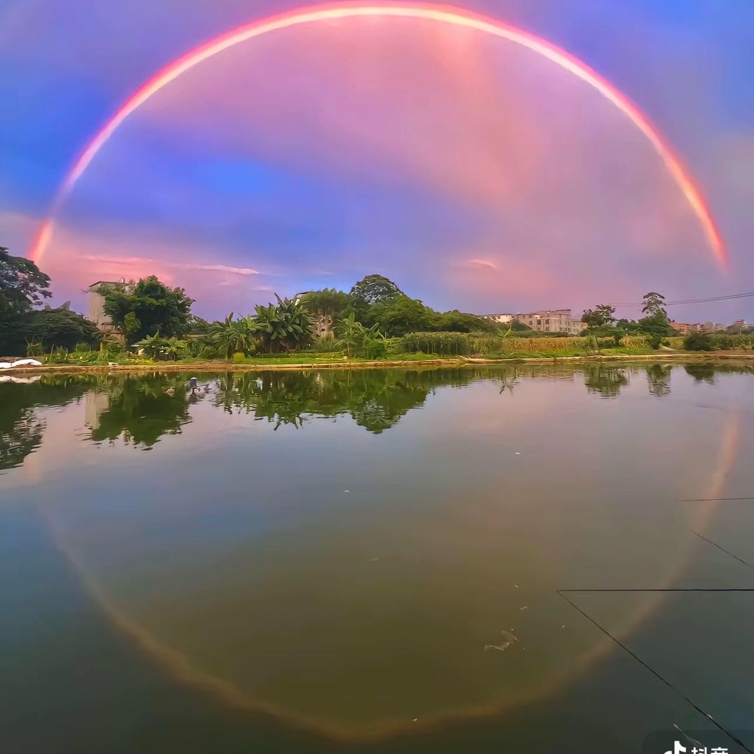 左ᝰꪊ木