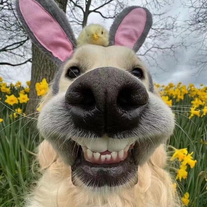 刘姐直播（冲10粉