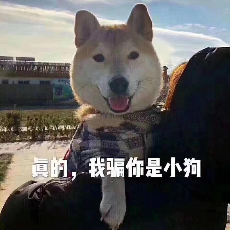 明天？
